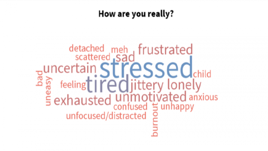Embracing Empathy and Equity in Remote Learning - Monday, June 29, 2020